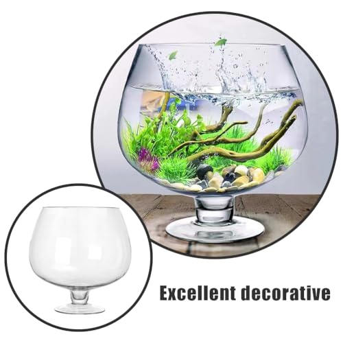 Image of BESPORTBLE Glass Fish Bowl Vase - Clear Bubble Planter Terrarium Fish Bowl Wine Goblet Shaped Vase Transparent Hydroponic Bulb Floral Container