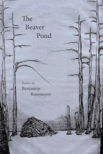 The Beaver Pond