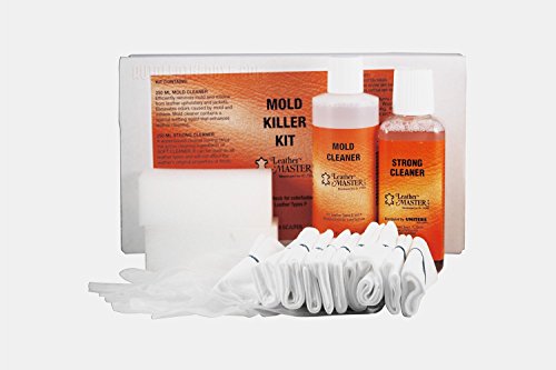 Leather Master Mold Killer Kit