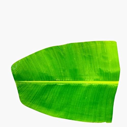 Image of Fresh Banana Leaf, 5 Piece