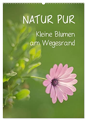 NATUR PUR Kleine Blumen am Wegesrand (Wandkalender 2026 DIN A2 hoch), CALVENDO Monatskalender: Nahaufnahmen kleiner Blumen am Wegesrand (CALVENDO Natur)