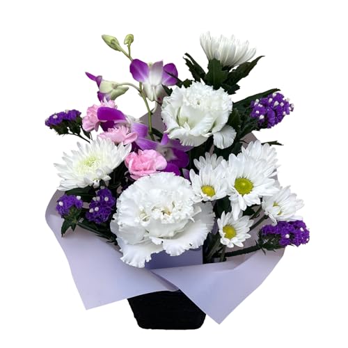 Ԃ̃Mtg       ފ ~  l ԃAW