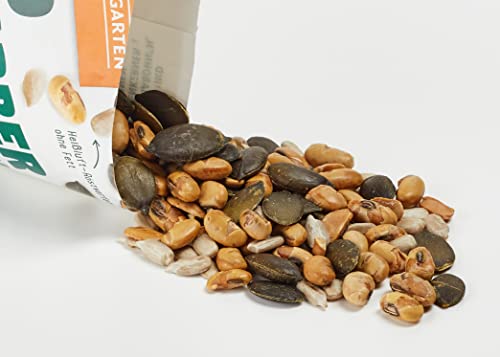 Landgarten Protein Mix – Bio-Protein-Snack mit gerösteten Sojabohnen, Sonnenblumenkernen & Kürbiskernen – gesalzen, fettfrei geröstet – 1 x 50 g