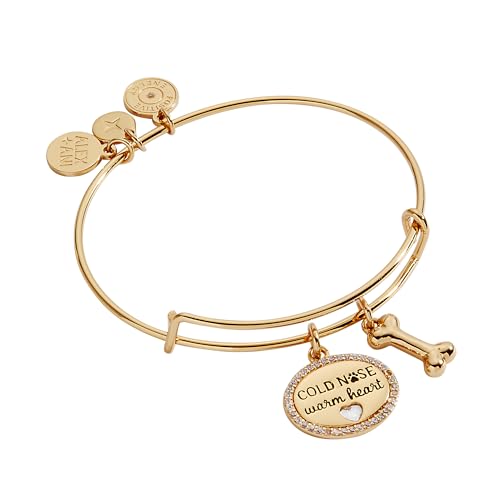 Image of ALEX AND ANI Pet Love Bracelets