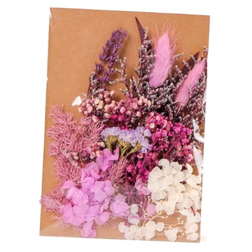 Flores secas para decoración y DIY 1 bolsa