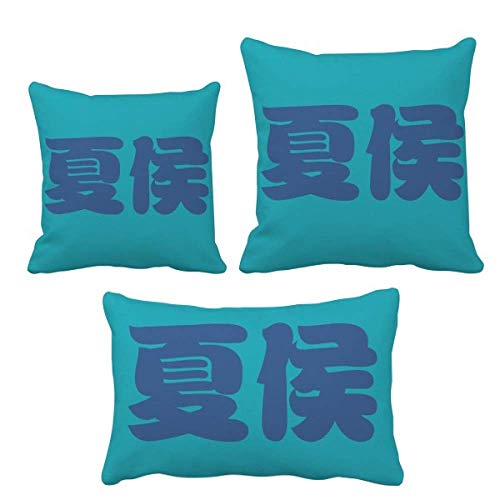 Coussin accueil sofa decor idée cadeau original style chine - 2