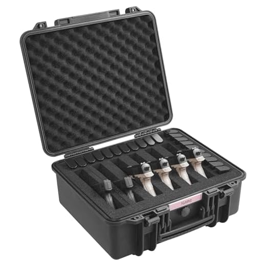 Can you take toy guns in checked luggage uk VEVOR Hard Pistol Case with Foam