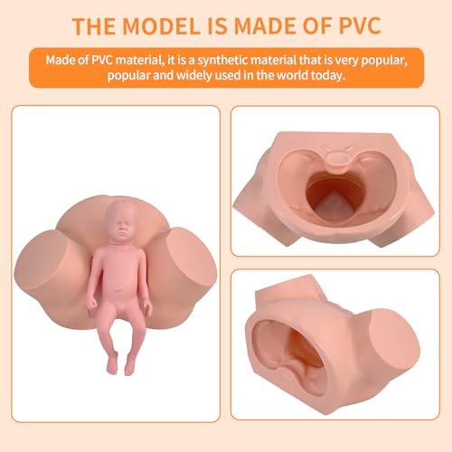 Image of Birth Midwifery Training Model Simulator, Life Size Childbirth Demonstration Obstetrics Gynecology Normal Abnormal Fetal Positions Delivery Maternity Manikin for Teaching Medical