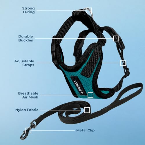 Image of Voyager Escape-Proof Step-in Lock Cat Harness & 5ft Neoprene-Handle Leash Set All-Weather Mesh with Reflective Stitching for Small to Large Cats by Best Pet Supplies, Turquoise /Black Trim, XXXS