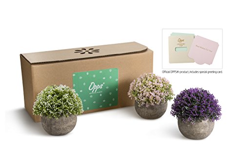 Opps Mini Artificial Plants Plastic Fake Green Colorful Flower Topiary Shrubs With Gray Pot For Home Décor – Set Of 3 #TOP1