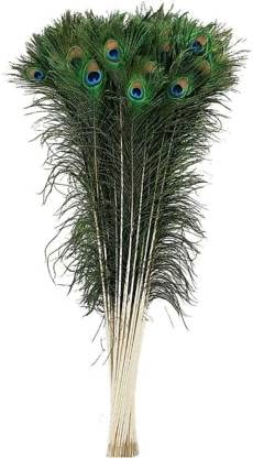 SNAPNCLAP Pack of 5 Decorative Feathers (5 Peacock Feather), Multicolour