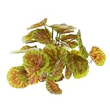 Kisangel 爬虫類テラリウム用リアル仿真植物 ベース付き簡単設置 爬虫類や亀の飼育箱装飾 隠れ家と遊び場になグリーンプラント