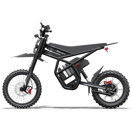 Riding'times GT54PRO Electric Dirt Bike for Teens Adults 60V 25AH,