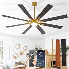 Brass+Walnut & Black Blades