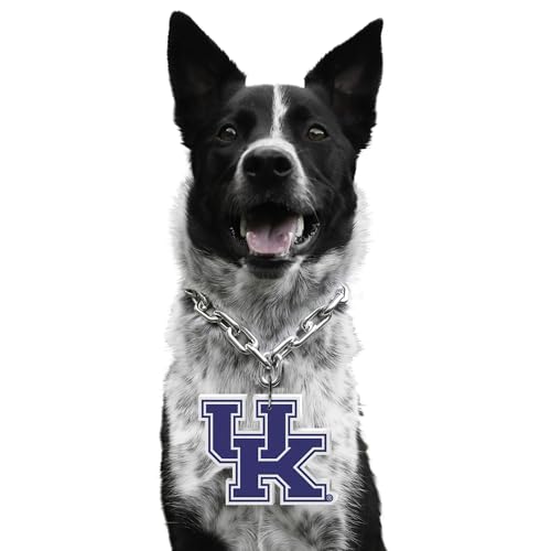 Littlearth NCAA Pet Fan Chain Kentucky Wildcats