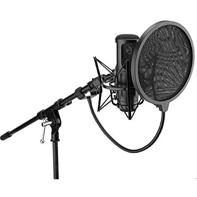 Auray PFNY-6 Nylon Pop Filter with Gooseneck