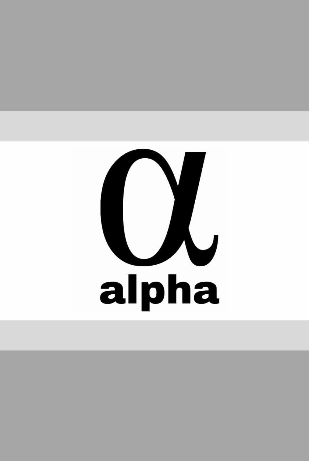 ALPHA 6 x 9 inch, 120-page, hardback notebook
