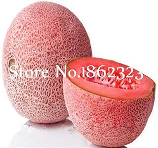 Kalash New 30 Pcs Cantaloupe Fruit Seeds for Gardening Pink 2
