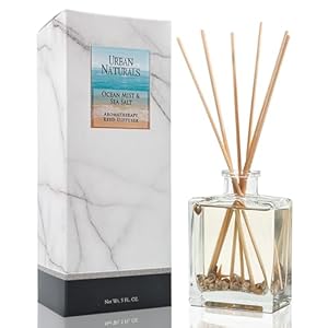 Urban Naturals Ocean Mist & Sea Salt Reed Diffuser Set – Made with Essential Oils & Real Botanicals – Sleek Rectangular Refillable Glass Bottle – Made in The USA