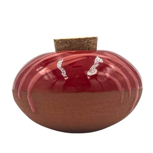 Olla Galet Gourmand Cerise – Irrigation naturelle en terre cuite pour plantes en pot – 15 cl – Arrosage autonome 2 à 5 jours – Économiseur d’eau – Fabrication artisanale française