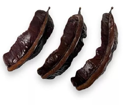 3 Favas De Aridan Africana Original Para Rituais Religiosos