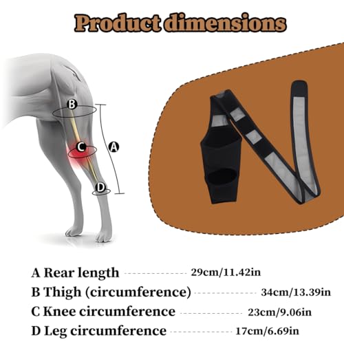 YUVKIN 1 Pcs Knieschützer für Hunde, Stütze für Hinterbeine von Hunden, aus Neopren, geeignet für Kreuzbandrisse, Bänderverletzungen, Patellaluxation oder Osteoarthritis (Größe XL)