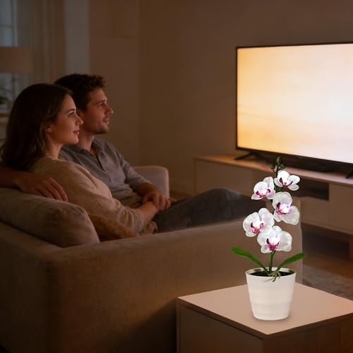 Image of Artificial White Phalaenopsis Orchid Flower Lamp, Flower Night Light for Bedroom Wedding Bar Coffee Shop Decor, Gifts for Women Mom Grandma Friend Birthday Christmas Valentines Mothers Day