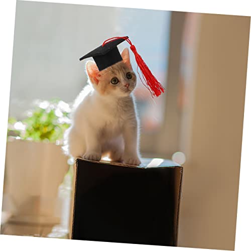 Set 2 Gorras Graduación para Mascotas Yardwe miniatura 2