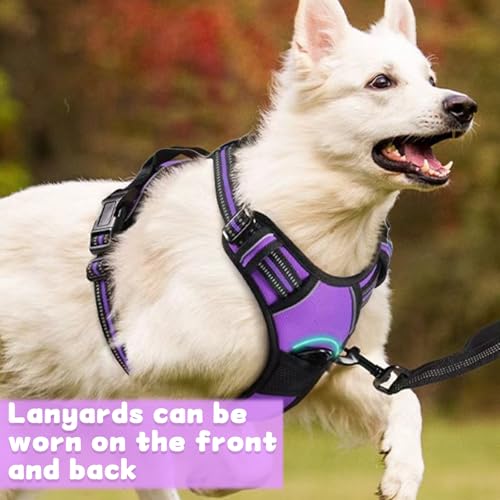 DKDDSSS Hundegeschirr, Geschirr Hund Groß, Anti Zug Hundegeschirr, Geschirr für Hunde, Brustgeschirr für Labrador, Einfache Anpassung und Benutzung, Atmungsaktiv, Lila, L