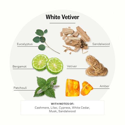 Image of APOTHEKE Luxury Scented 3-Wick Jar Candle, White Vetiver, 32 oz - Large - Eucalyptus, Lilac, Vetiver, Amber & Cedarwood Scent, Strong Fragrance, Aromatherapy, Long Lasting, Hand Poured in USA