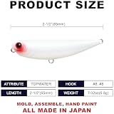 LUCKY CRAFT Sammy 65 Topwater Fishing Lures, 2.5" Floating Freshwater Trout and Bass Lures, Walk-the-Dog Tournament Bait, Bass Fishing Gear, 335 Sexy Mama