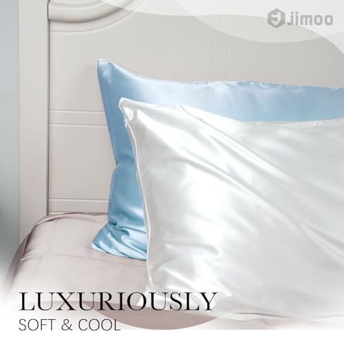 100% Mulberry Silk Pillowcase for Hair and Skin, 22 Momme Pure Natural Silk Pillow Case Both Sided with Zipper, Pillow Cover for Women Mom Men (Light Blue, Queen 20''×30'')