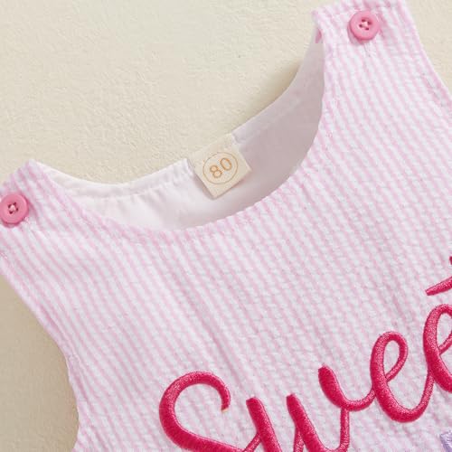 Baby Girls First Birthday Outfit 1st Birthday Cake Smash Dress Sleeveless Embroidery One Year Old Dress2