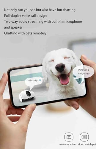 Cámara interactiva para mascotas con dispensador de golosinas, controlada por aplicación, 1080p, HD, inclinación, para perros, dispensación automática, control remoto, juego con gatos y perros a