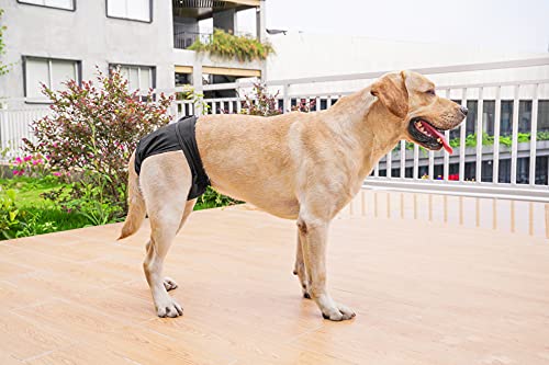 BePetMia Waschbare Windeln für Hunde, Wiederverwendbare Hundewindeln, Umweltfreundliche Damenbinden Höschen, Hygiene-Unterhose für Hunde in Hitze (L: 48-65cm, Schwarz)