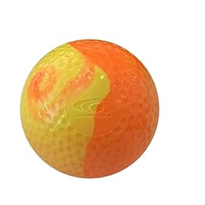 Amazon.co.jp: ゲートボール - レクリエーションスポーツ