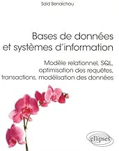 Download BASES DE DONNÉES ET SYSTÈMES D'INFORMATION - MODÈLE RELATIONNEL, SQL, TECHNIQUES AVANCÉES, MODÉLISATION PDF