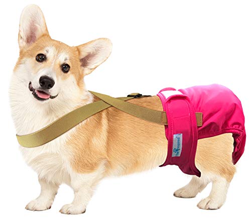 Image of PAW Inspired Dog Diaper Suspenders, Brown, Small /Medium