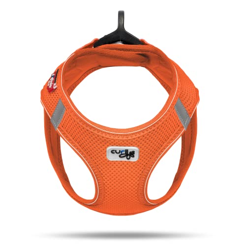 Curli Vest Harness D-Ring Buckle Mandarin M