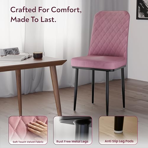 Image of IKON Premium Velvet Dining Chair with Cushioned Seat & Metal Legs | Premium Accent Chair for Living Room, Bedroom & Balcony | D.I.Y (Cloud Pink)
