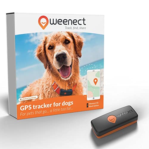 Weenect Dog XS - NEW GPS Tracker for Dogs, Black, Tracker XS