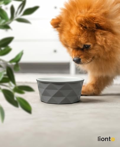 lionto Futternapf aus Keramik mit rutschfestem Silkonboden, 350 ml, Hundenapf aus robustem & geruchsneutralem Material, leicht zu reinigen, ergonomisches Design, Wassernapf für Hunde&Katzen, grau