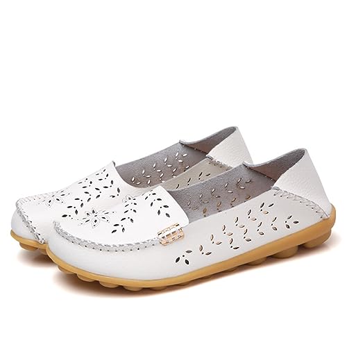 [GUREITOJP] fB[X JV {v 2way zCg 23.0 cm [t@[  tbg 傫TCY T{ Ɠ߂ ؂ t  H   }}V[Y 芴 ɂȂ _炩 y u₩ DPw