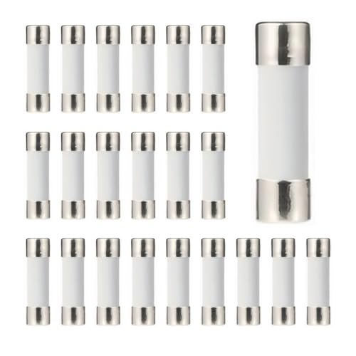 Tube fusible céramique 5x20 action lente 15A 250V protection circuit