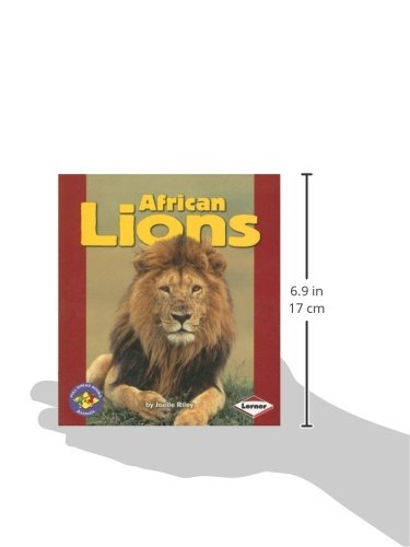 African Lions (Pull Ahead Books -- Animals) - Image 3