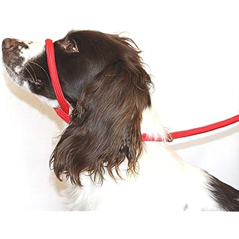 Dog & Field Figure 8 Anti Pull Lead / Halter / Head Collar (RED) - One Size Fits All - Super Soft Braided Nylon - Fitting Instructions Included- Comfortable, Kind, Supple, Secure and Proven to Make Your Walks More Enjoyable - No More Pulling! Cover