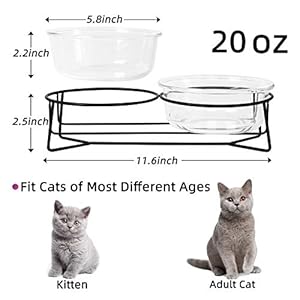 Double Glass Raised Cat or Small Dog Bowls with Metal Stand for Pet Food and Water Dishes , 20 Ounces