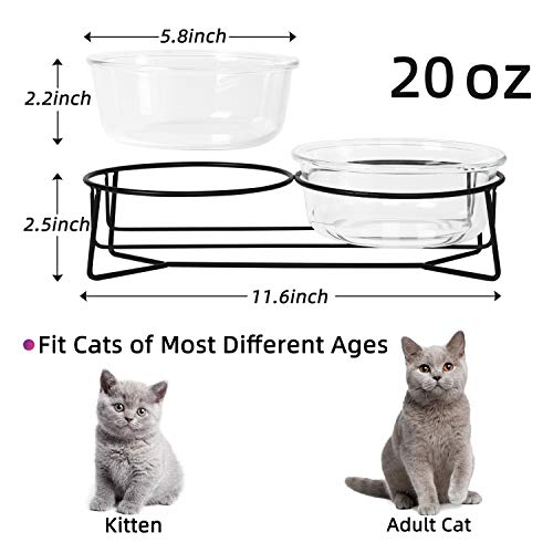 Double Glass Raised Cat or Small Dog Bowls with Metal Stand for Pet Food and Water Dishes , 20 Ounces Double Glass Raised Cat or Small Dog Bowls with Metal Stand for Pet Food and Water Dishes , 20 Ounces