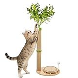 Catails Tall Cat Scratching Post, Cute Olive Tree Cat Scratcher, Interactive Cat Toys with Ball Track & Spring Ball, Sturdy Cat Tree with Scratch Pad for Indoor Cats Adults and Kittens