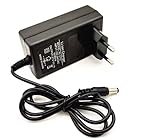 Zoom IMG-2 squado caricabatterie da 21v per Zoom IMG-2 squado caricabatterie da 21v per